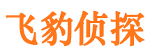 陆川侦探